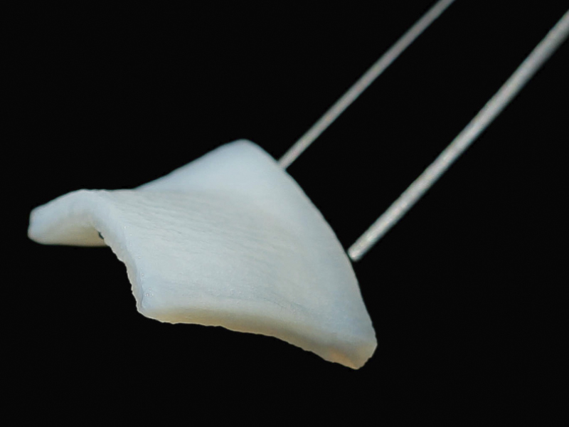 Коллагеновый 3D-матрикс fibroMATRIX 30x40 mm