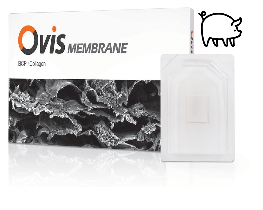 Мембрана Ovis DENTIS 15 x 20 мм (свиной коллаген)